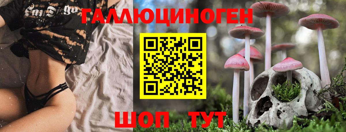 Псилоцибиновые грибы Magic Shrooms Златоуст